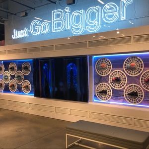 Meet your Posher, Evan